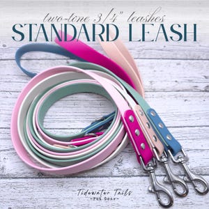 May include: Three standard leashes in pink, sage green, and blue, each featuring a 3/4 inch width, silver-toned metal swivel snap hooks, and matching rivets. The text "two-tone 3/4" leashes STANDARD LEASH" and "Tidewater Tails -Pet Gear-" is visible.