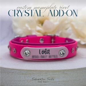 Crystal Rivet Add-On for Nameplate | Rivets Only