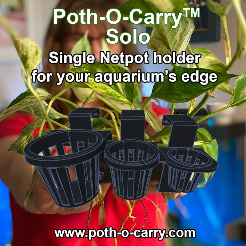 Net for Plant - Etsy