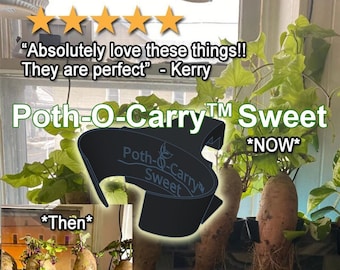 Poth-O-Carry® Sweet: Sweet Potato tank-side holder for your aquarium!