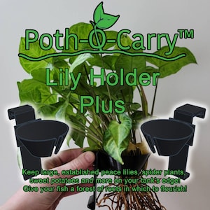 May include: A black plastic plant holder with two cups for holding plants. The holder is attached to the side of an aquarium. The text "Poth-Q-Carry™ Lily Holder Plus" is visible in the image. The text "Keep large, established peace lilies, spider plants, sweet potatoes and more on your tank's edge! Give your fish a forest of roots in which to flourish!" is also visible in the image.