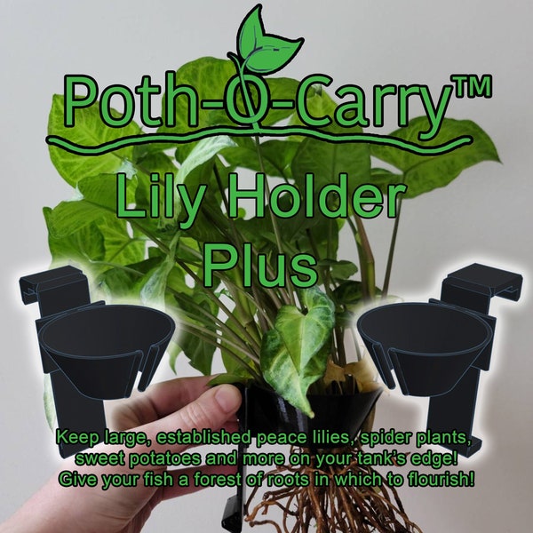 Poth-O-Carry® Lily Holder Plus - Keep Large, Established Peace Lilies, Spider Plants and more on your tank's edge!