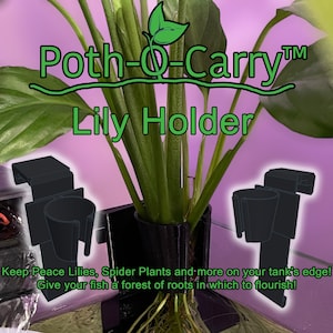 Poth-O-Carry® Lily Holder - Keep Peace Lilies, Spider Plants and more on your tank's edge!