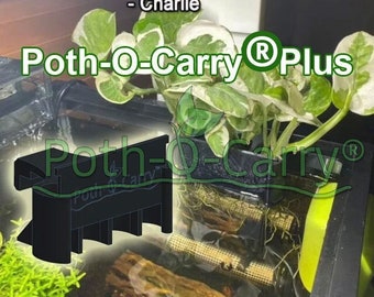 Poth-O-Carry® Plus: Pothos Holder with Open Face Technology for Easy Propagation