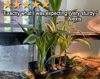 Poth-O-Carry® Triptych - 3 x 2&quot; net pot holder for your aquarium