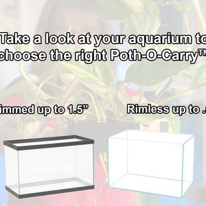 May include: Two glass aquariums, one with a black rim and one without. The aquarium with the rim is labeled "Rimmed up to 1.5" and the aquarium without a rim is labeled "Rimless up to .5".