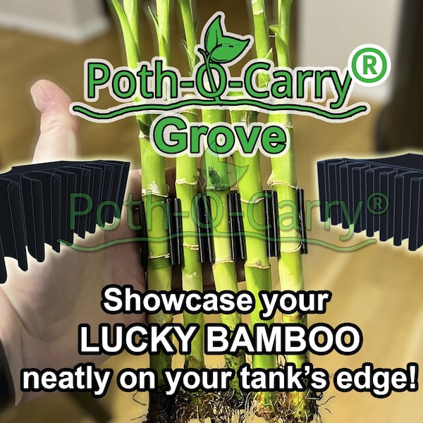 Poth-O-Carry® Grove: Bamboo wall for the rim of your aquarium