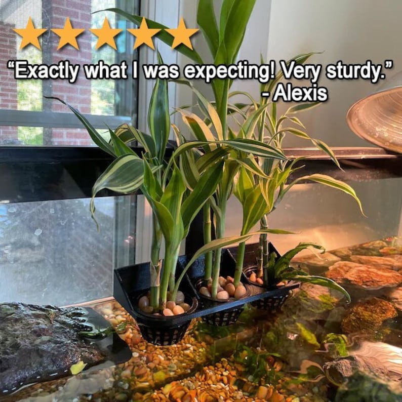 May include: A close-up of a plant arrangement with green and yellow leaves. The plants are in black plastic pots filled with small, light-colored stones. The text in the image reads: "Exactly what I was expecting! Very sturdy." - Alexis.
