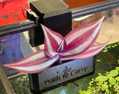 Poth-O-Carry Original Rail Edition - Pothos (And other plants) Over-Aquarium Holder