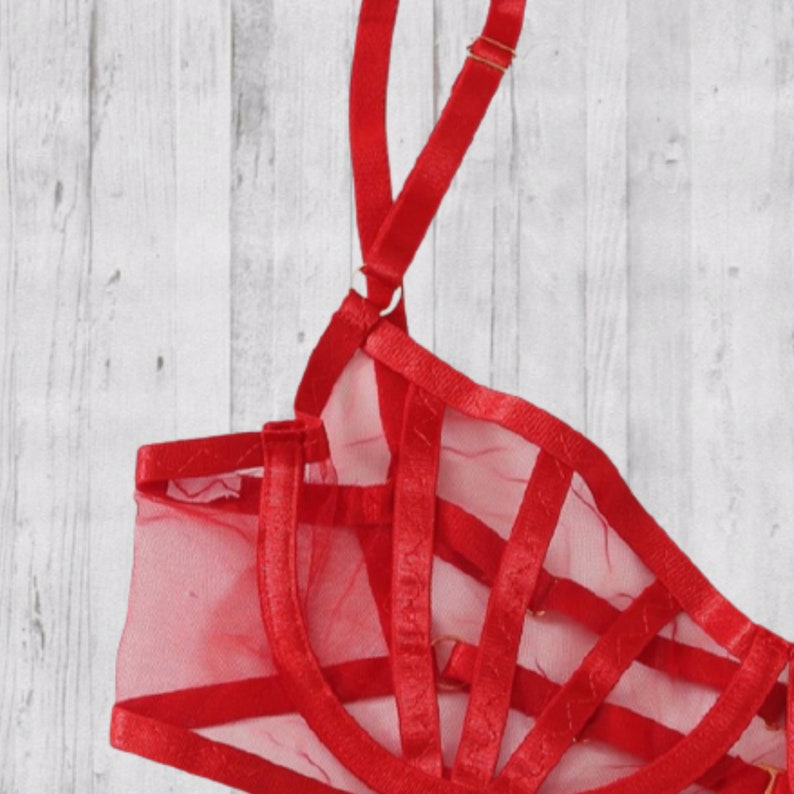 and Garter Set Red Sheer Cage Style Bra Thong Panty
