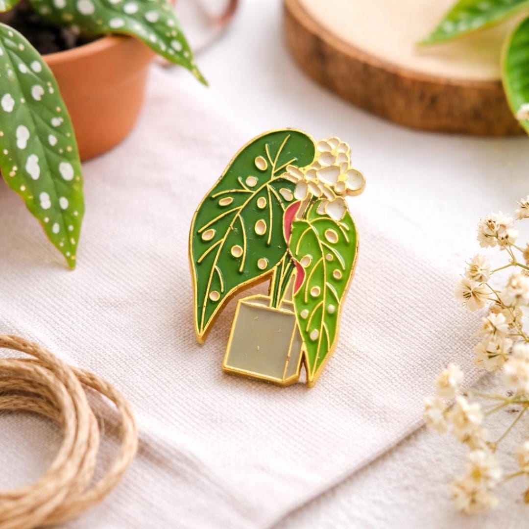 Polka Dot Begonia Enamel Pin –plant Lover Pin- Houseplant – Polka Dot ...