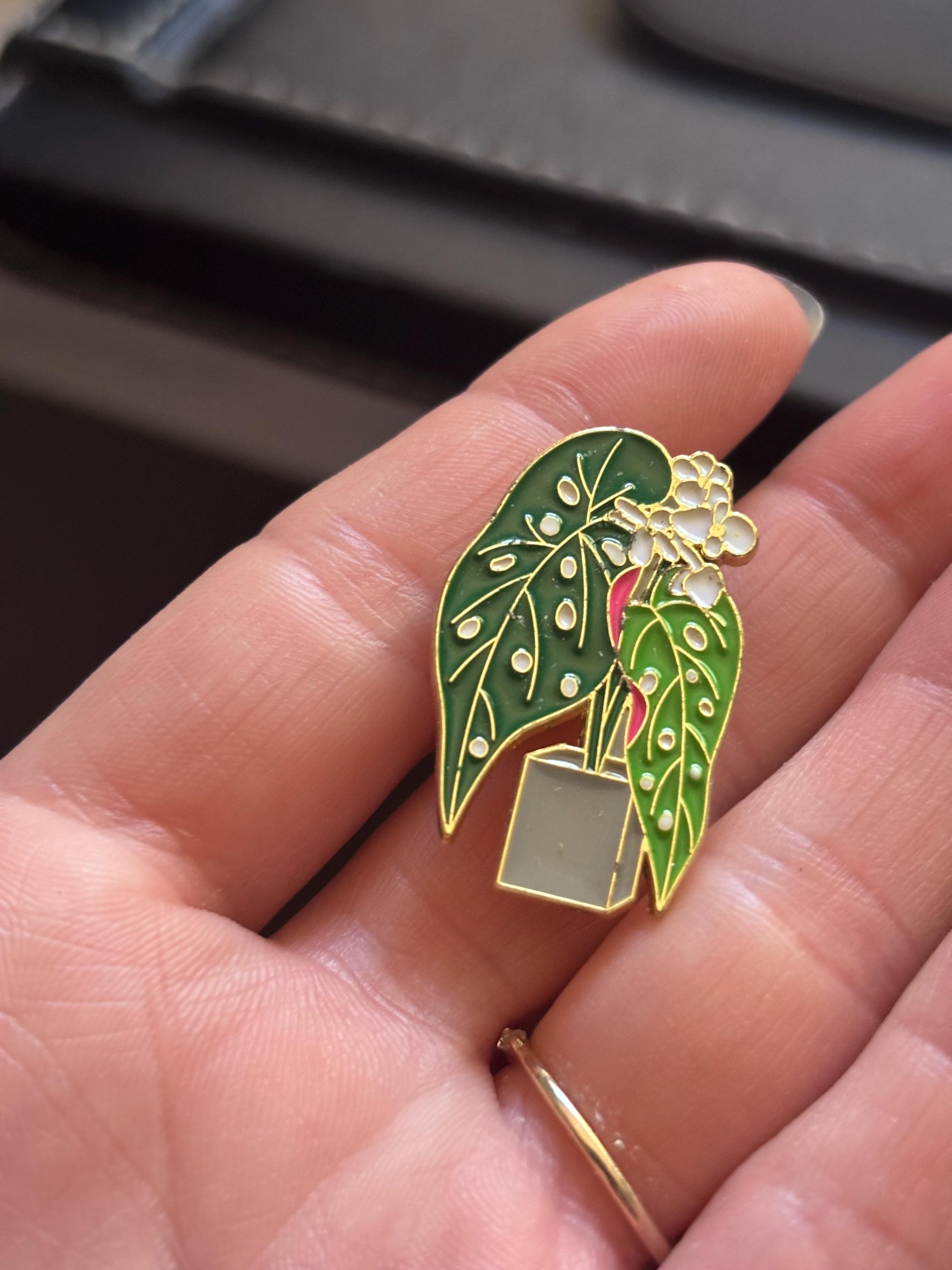 Polka Dot Begonia Enamel Pin –plant Lover Pin- Houseplant – Polka Dot ...