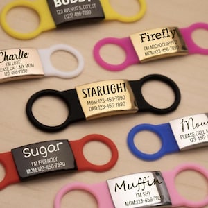 Custom Silent Silicone Dog Tag: Slide-On polished Stainless Steel Pet ID
