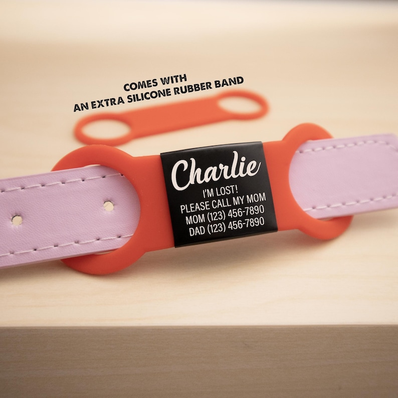 Silent Dog Name Tags_Slide on Dog Tags black Stainless Steel Metal, red silicone rubber band, come with an extra silicone rubber band