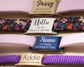 Silent Slide-On Dog Tag: Personalized Stainless Steel Pet ID
