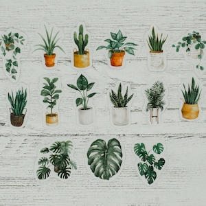 15 PflanzenSticker, Monstera, Aufkleber, Stempel, grüne Sticker, Bastelzubehör, Scrapbooking, Geschenkverpackung, Umschlag Siegel