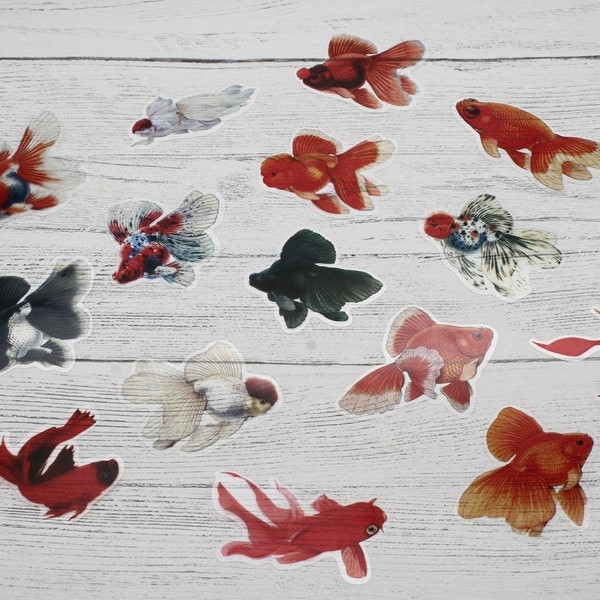 15 Goldfish Decal, Red, White, Black Goldfish, Scrapbooking, Resin Decals, Resin, Craft Supplies, Art Supplies, Fish sticker