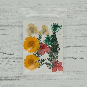 Dry Pressed Flowers, White, Purple, Yellow, Resin Art, Resin, Scrapbooking, Small Flowers, Dried Flowers, Preserved Flowers