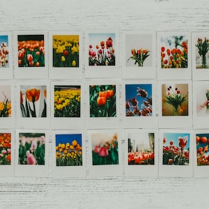 22 Autocollants de photographie de tulipes, Autocollant, Feuille d’autocollants, Hiboux, Autocollants scolaires, Autocollants colorés, Fournitures d’artisanat, Scrapbooking