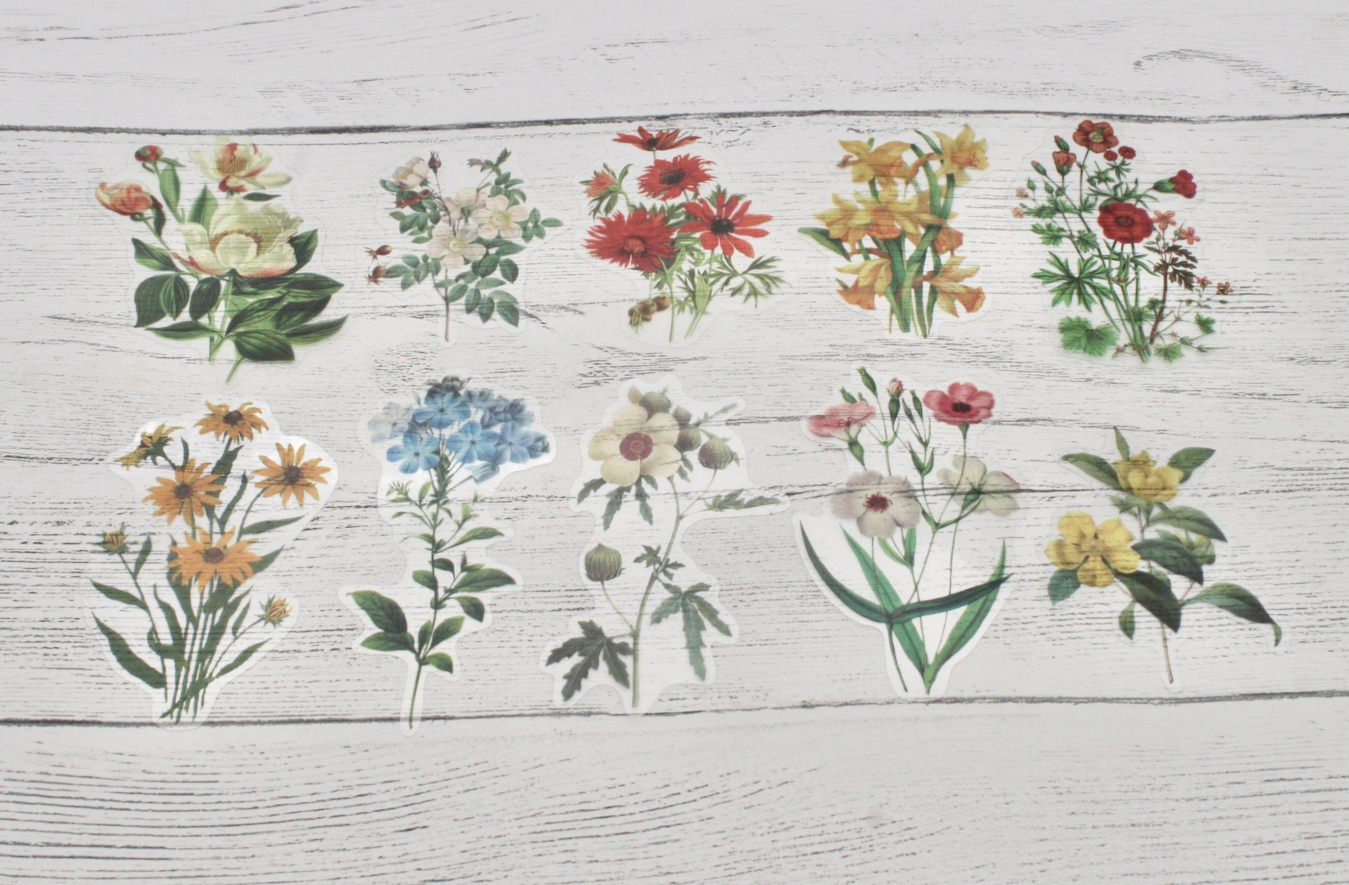 10 Flower Decals Spring Flowers Decals Colourful Flower Etsy