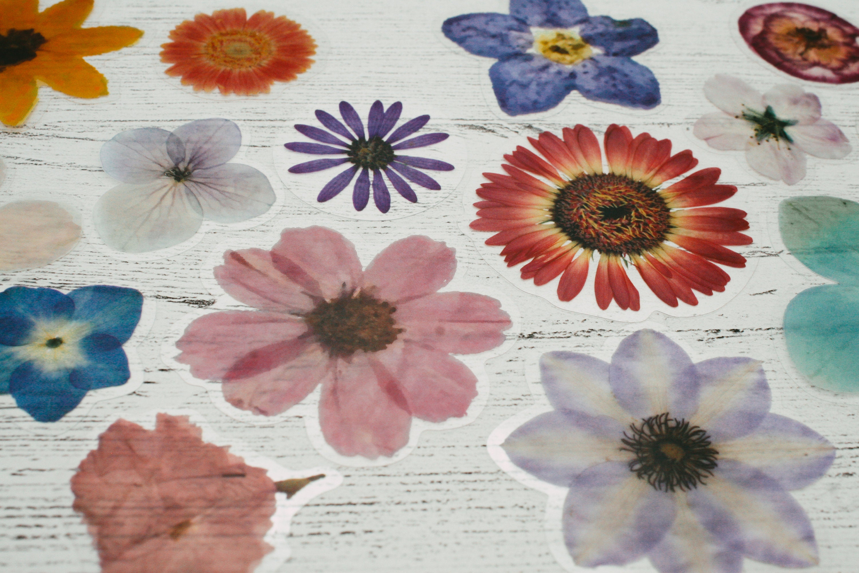 20 Flower Decals Decals of Flowers Scrapbooking Resin Etsy UK