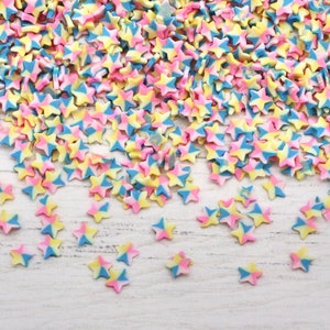 10g Star Polymer Clay Slices, Resin Art, Slime, Resin Craft Supplies, Starfish Fimo, Craft Supplies, Resin Supplies