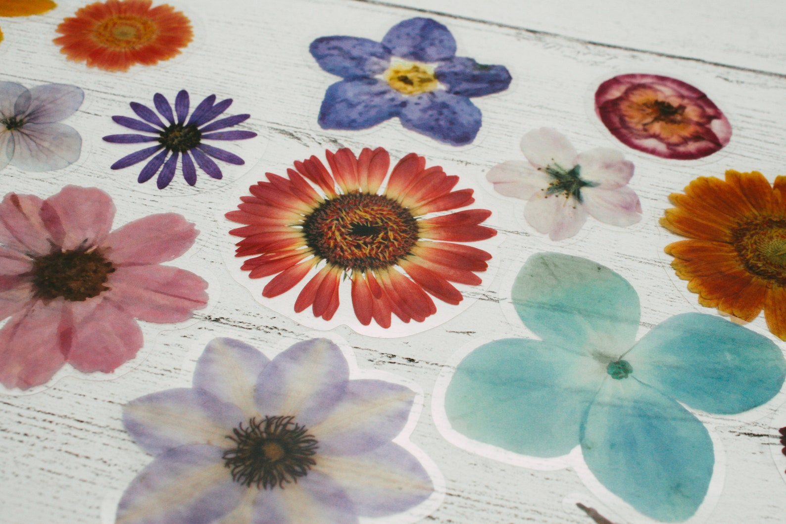 20 Flower Decals Decals of Flowers Scrapbooking Resin Etsy UK
