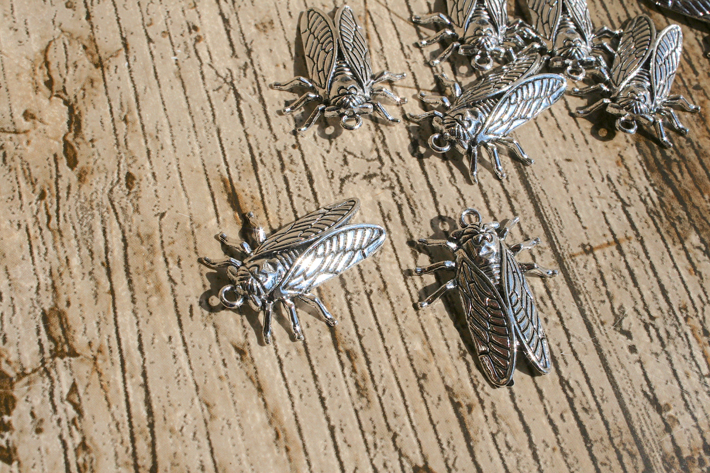 5 Cicada Metal Charms, Cicada Bug, Bug Craft, Bug Charms, Insect Charms ...