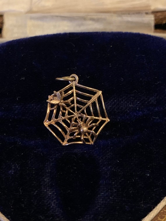 9ct Gold Vintage Spider Web with Spider & Fly Char