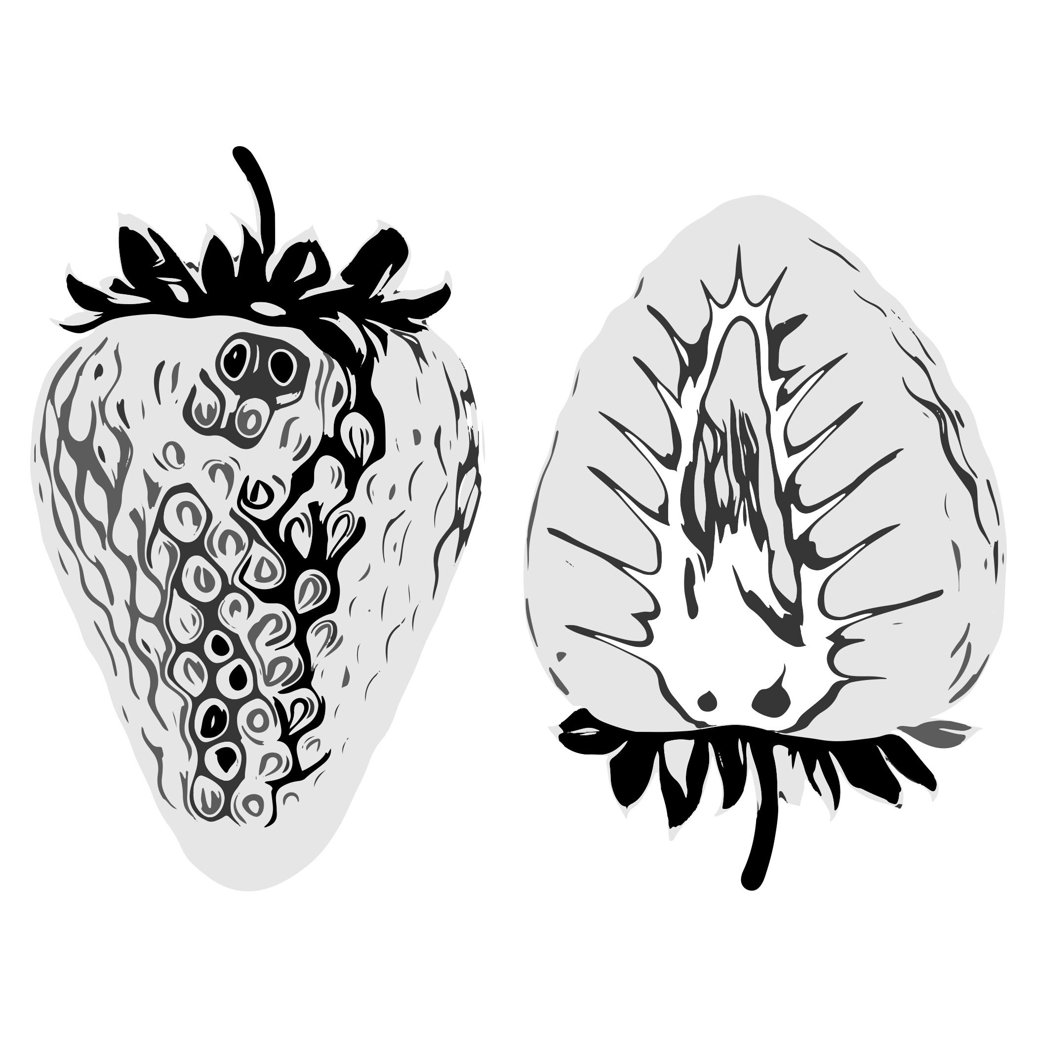 Strawberry SVG Vector Artwork, SVG Bundle of Six Strawberries Artwork