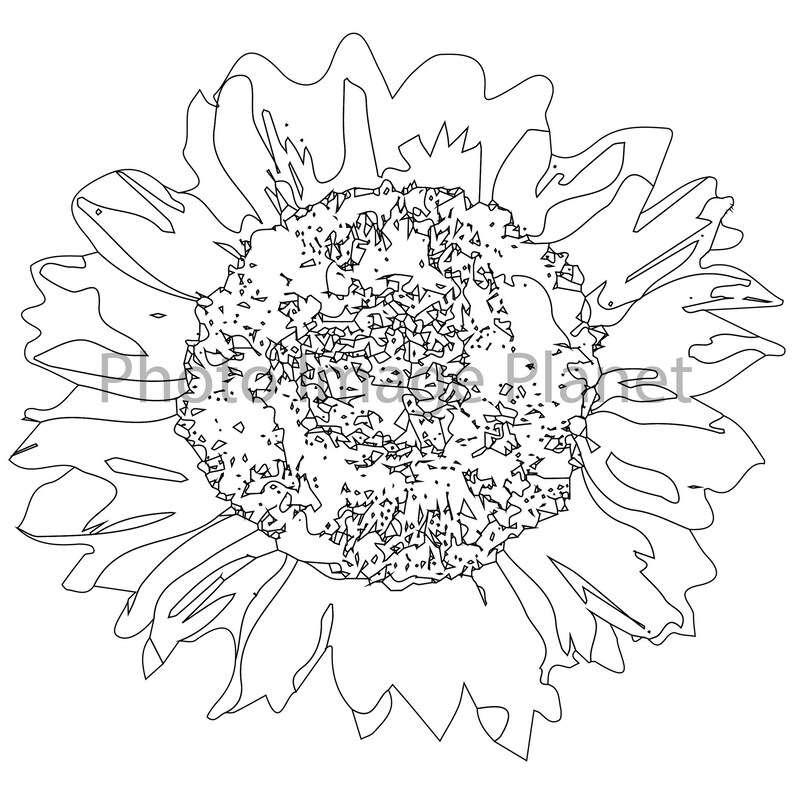 Free Free Sunflower Svg Bundle 674 SVG PNG EPS DXF File