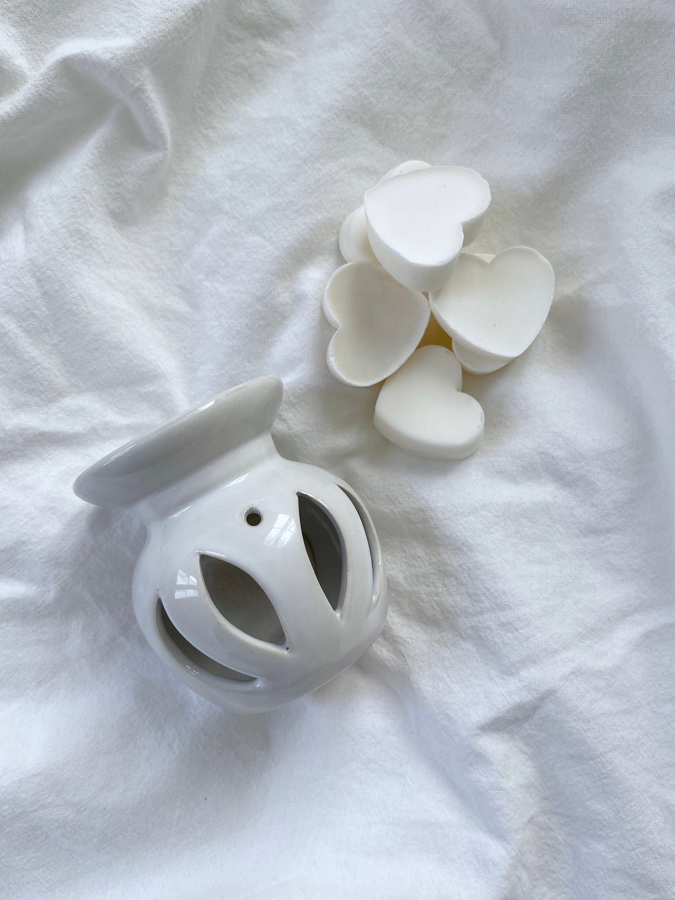 Wax Burner Ensemble Cadeau avec 6 Cire de Soja Fond. Cadeau Ménage. Emballage Personnalisé @ Medowsk