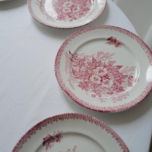 Vintage Terre De Fer Plates (Set of 4): French Ironstone China Floral Plates