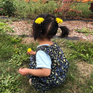 Blueberry Bush Baby Romper. Toddler Romper