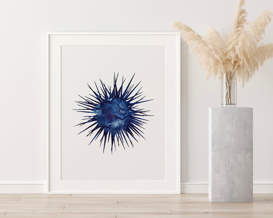 Sea urchin art nautical wall decor coastal home wall art Etsy