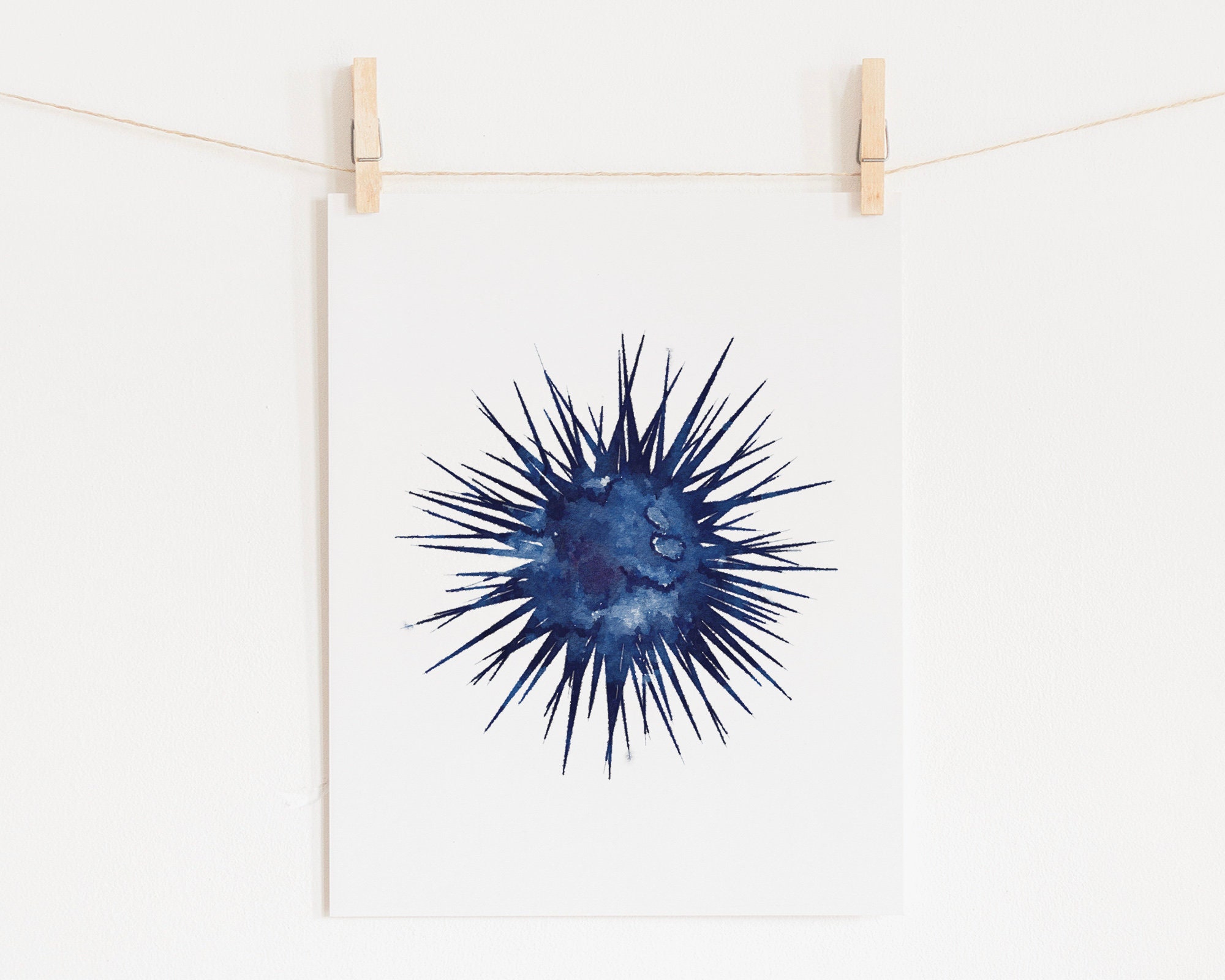 Sea urchin art nautical wall decor coastal home wall art Etsy