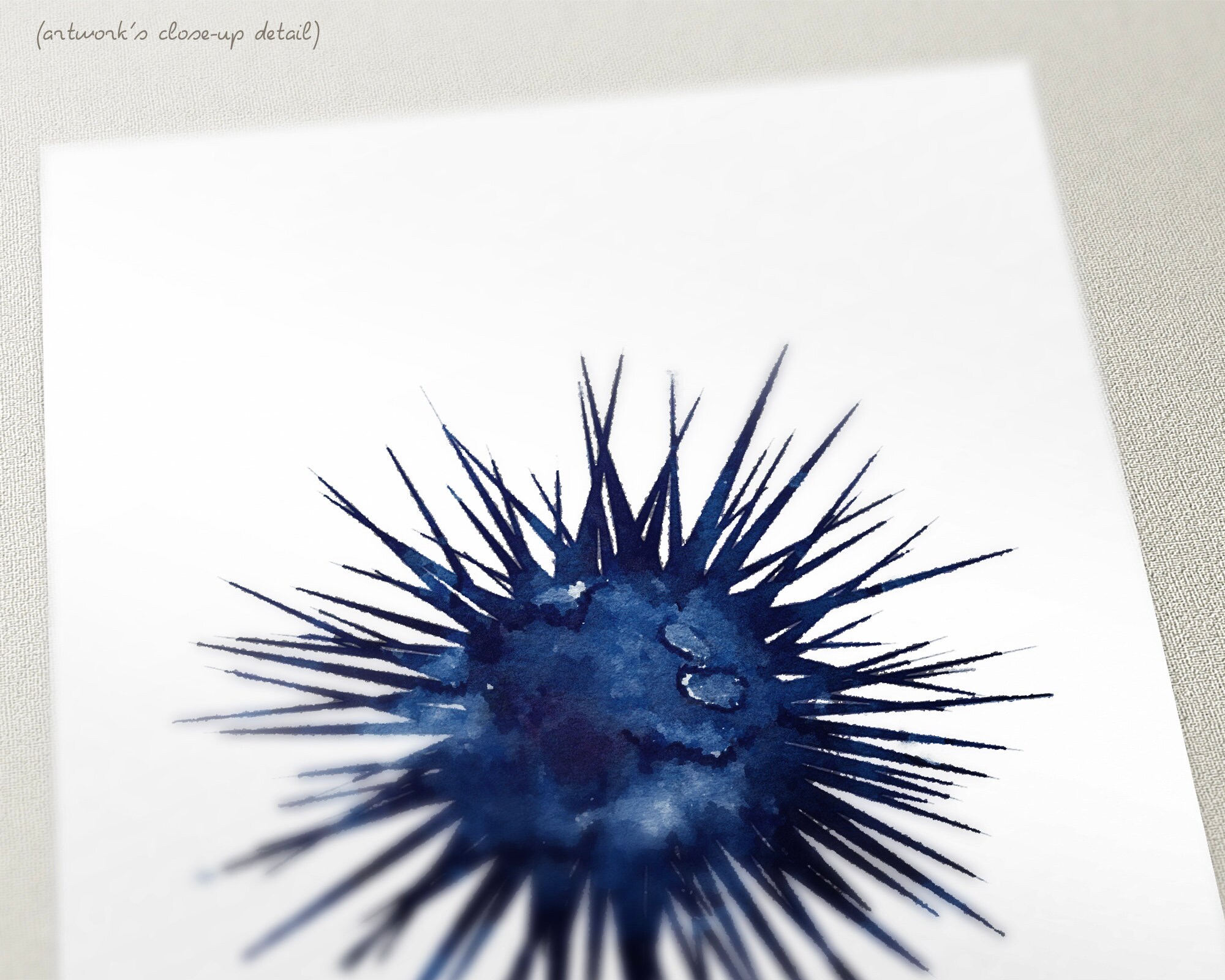 Sea urchin art nautical wall decor coastal home wall art Etsy