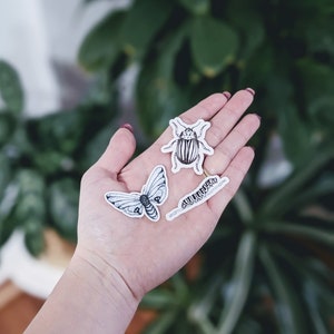 Bugs, Bugs, Bugs (Set of 3)