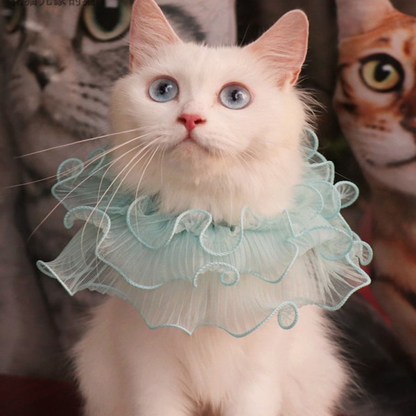 Elizabethan Ruff Etsy