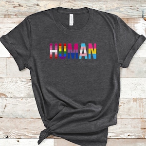 LGBTQ T Shirt, Human LGBTQ Shirt, Gay Pride Human Tee, LGBT T Shirt, Gift For Lgbtq, Pride T Shirt, Lgbtqia2s+ Shirts, Lgbt Pride Tee