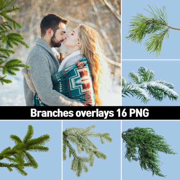 16 winter overlays, Christmas tree branch overlays, fir overlay, spruce photoshop overlay, coniferous branches, evergreen, transparent png