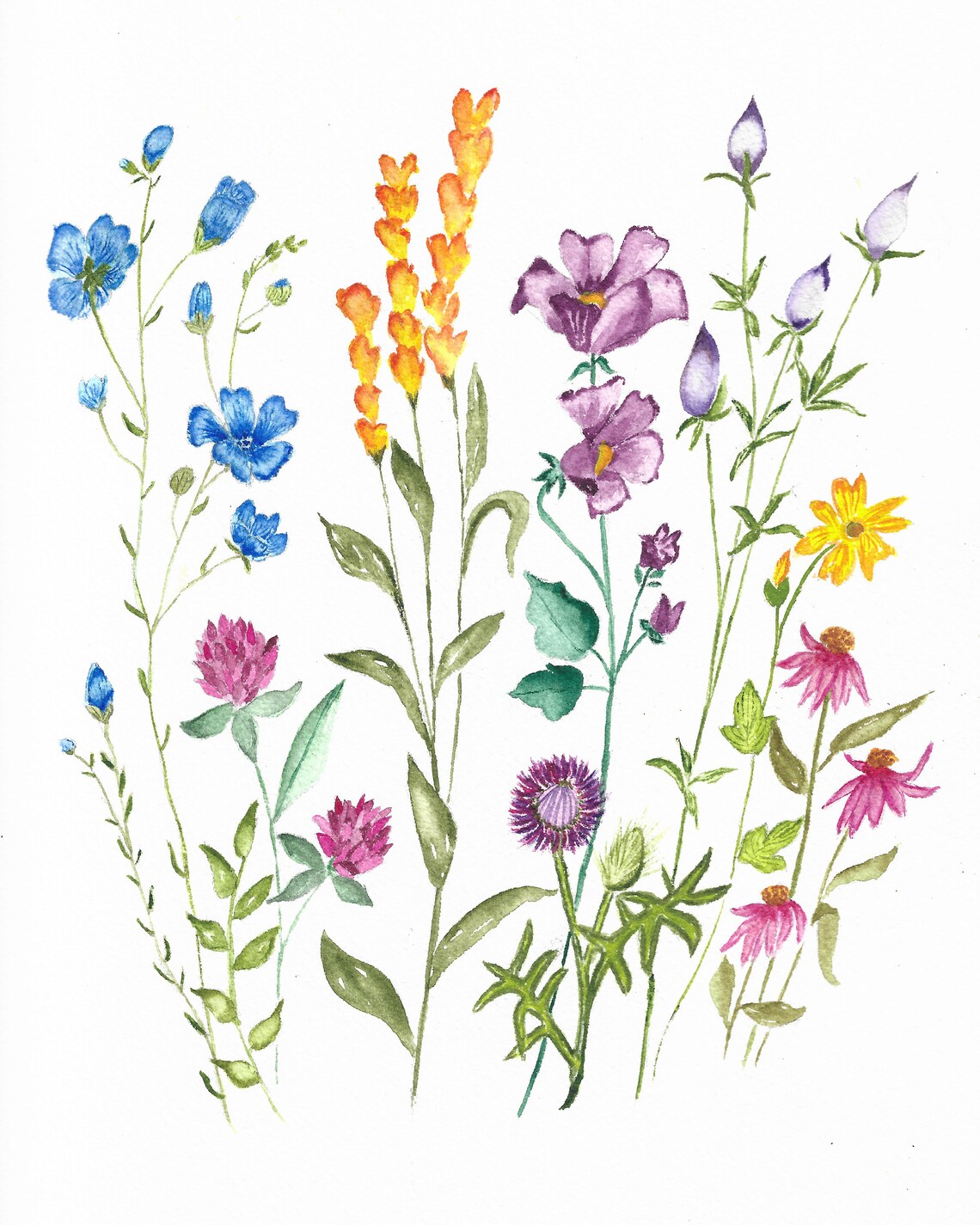 Lebendiges Set von 4 Original Wildblumen Gemälden digitaler Etsy.de