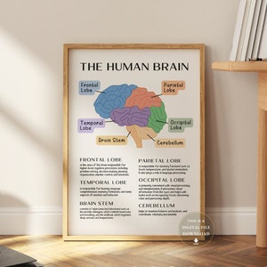 Brain Anatomy Poster Print Psychology Wall Art School Psychologist Decor Mental Health Prints Therapy Office School Counselling Printables