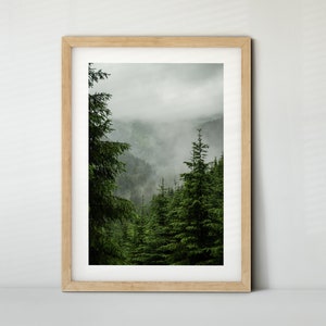 Wald mit Nebel, Austria (Poster, Fine Art Print, Canvas) | Landscape, Bad Gastein