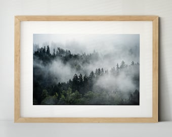 Wald mit Nebel - Teil 2, Österreich (Poster, Fine Art Print, Leinwand) | Landschaft, Bad Gastein