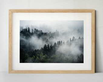 Wald mit Nebel - Teil 2, Österreich (Poster, Fine Art Print, Leinwand) | Landschaft, Bad Gastein