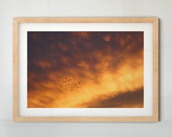 Poster Himmel mit Sonnenuntergang (Foto, Fine Art Print, Leinwand)