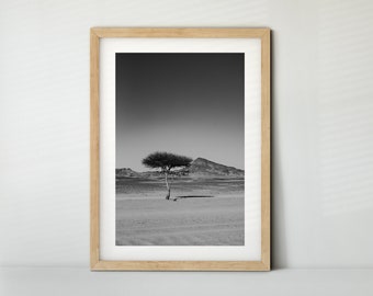 Lonely Tree in the Desert in Morocco (Photo, Fine Art Print, Canvas)