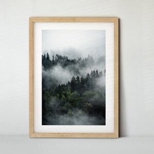 Wald mit Nebel - Teil 3, Österreich (Poster, Fine Art Print, Leinwand) | Landschaft, Bad Gastein