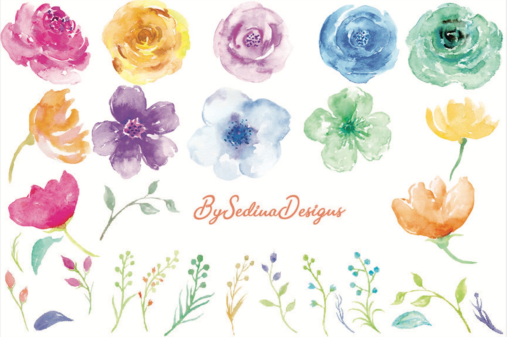 Water Color Flower Clipart V2 Watercolor Flowers Clip Art Etsy Water Color Flower Clipart V2 Watercolor Flowers Clip Art Etsy